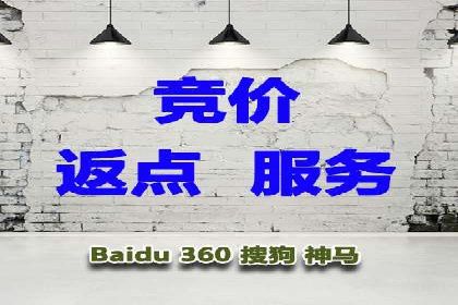 百度竞价广告在电商行业的实战应用案例
